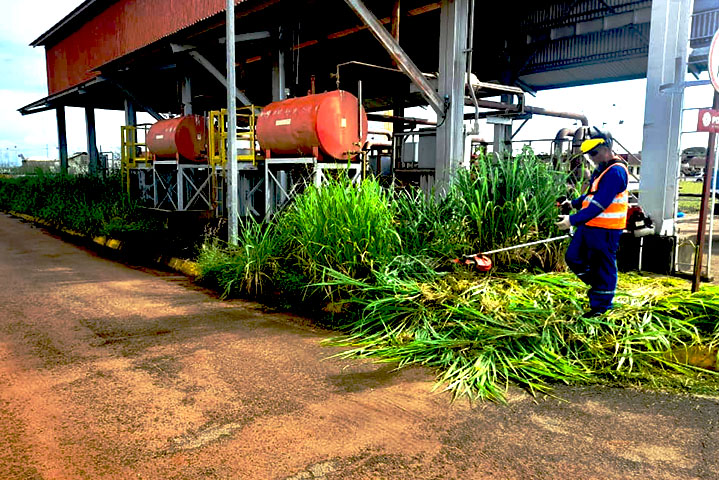 servicio desmalezado de areas petroleras1